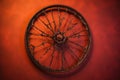 bicycle wheel with spokes and rim detail