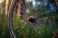 bicycle wheel with spokes and rim detail