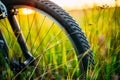 Bicycle Wheel In The Summer Green Grass Meadow Royalty Free Stock Photo