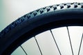 Bicycle wheel and tire Royalty Free Stock Photo