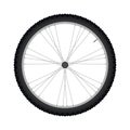 Bicycle wheel vector