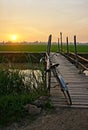Bicycle on wooden fence of bridge at sunset