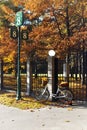 Bicycle with yellow leaves in wicker near shod fence in autumn p Royalty Free Stock Photo