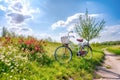 Bicycle in a yellow rapeseed field in springtime. Beautiful nature background. Generative AI