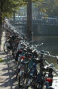 Bicycles in amsterdam