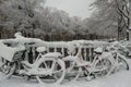 Bicycles During the Winter in