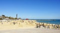 Bicycles on the beach of Nova Icaria