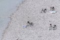 Bicycles on the beach waiting for the owners Royalty Free Stock Photo