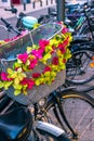 Bicycles and bicycle basket with flowers in Cologne Royalty Free Stock Photo