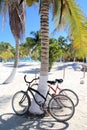 Bicycles bike on coconut palm tree caribbean beach Royalty Free Stock Photo