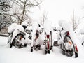 Winter Snow Royalty Free Stock Photo