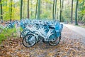 Bicycles in the forest at the Hoge Veluwe Netherlands Royalty Free Stock Photo