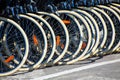 Bicycles front wheel tyres in a row