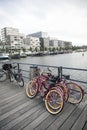 Bicycles and modern housing at westerdok in Amsterdam