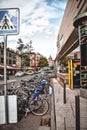 Bicycles park beside the road