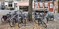 Bicycles parked around a tree