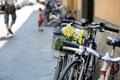 Bicycles parked on beautiful medieval streets of Lucca city, Tuscany, Italy Royalty Free Stock Photo