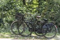 Dutch Bicycles parked near a forest Royalty Free Stock Photo