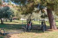 Bicycles are parked in the Park under the trees on a Sunny day Royalty Free Stock Photo