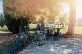 Bicycles are parked in the Park under the trees on a Sunny day Royalty Free Stock Photo