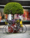 Bicycles parked by the roadside in Nagold, Germany