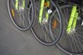 Bicycles parked in row at a rent a bike shop in a park. bike rent