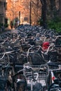 Bicycles parked in Tokyo