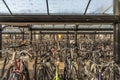 Bicycles parking near station Bergen op Zoom Netherlands 03 04 2024