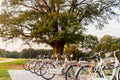 Bicycles for rent at a local park in the town