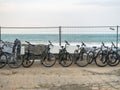 Bicycles for rent are located along the sea. Transport rental at the resort. Business on the beach. not a season