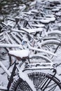 Bicycles in a row covered with snow Royalty Free Stock Photo