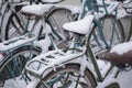 Bicycles in a row covered with snow in winter Royalty Free Stock Photo