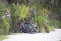 Bicycles on a sandy path at Jekyll Island, GA