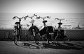 Bicycles At The Seaside, Black-White, High Contrast Royalty Free Stock Photo