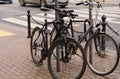 Bicycles stand next to each other, in the background are roads and cars.