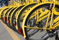 Bicycles in the store of the urban bike-sharing to move into eco