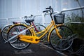 Bicycles in Tokyo, Japan. Tokyo has many bicycles since the land is pretty flat. Many Japanese people ride bicycles as a transport