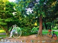 Bicycles, trees, Valentine Park and healthy life in Turin city, Italy