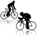 Bicycles vector