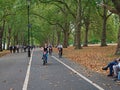 Bicycling in London Hyde Park