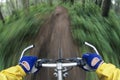 Bicyclist Maneuvering Path Through Forest