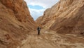 Bicyclist Riding in the Negev Desert