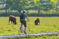 Bicyclist in Seaton Wetlands, Devon