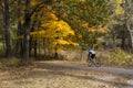 Bicyclist Urban Forest in Michigan Fall