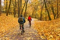 Bicyclists ride in park in falling season