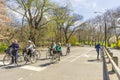 Bicyclists and a runner make thier way along a road in Central Park