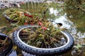 Bicykle and flas flood