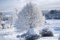 Biddeford Maine snowy Winter Landscape new england Royalty Free Stock Photo