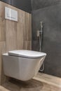 Bidet in modern toilet with wall mount shower attachment