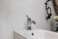 Bidet in modern toilet with wall mount shower attachment